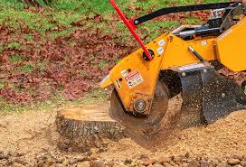 Best Organic Lawn Care Solutions  in Myersville, MD