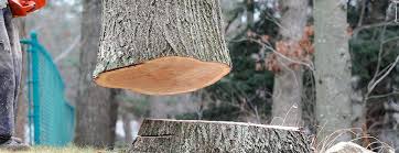 Best Tree Preservation Services  in Myersville, MD