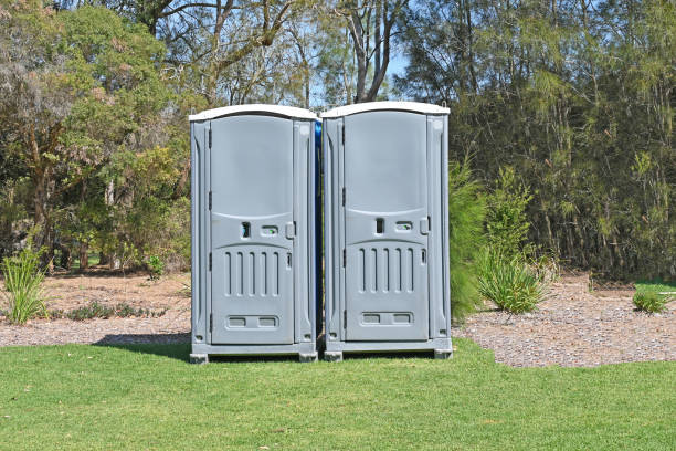 Best Pest Control for Lawns  in Myersville, MD