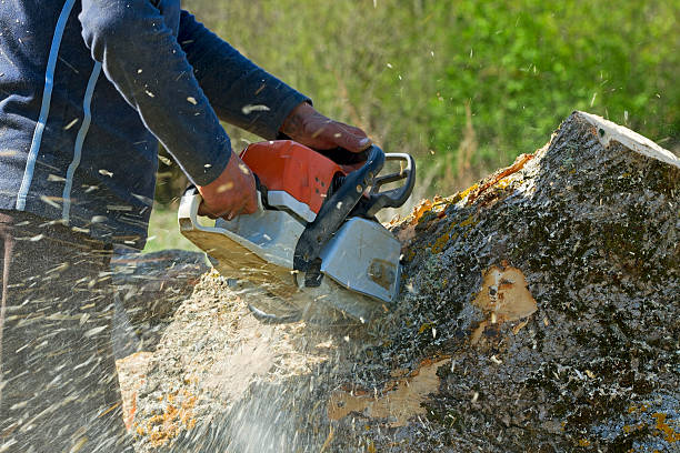 Best Aeration Services  in Myersville, MD